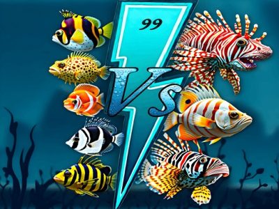 Aqua Fish Rush