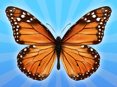 MergeButerfly: 2048!