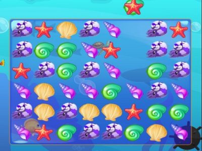 Shell Swap Pro